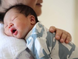 关于借卵代怀代生